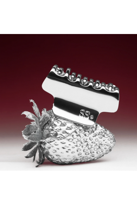 METAL HAIR CLIP SILVER